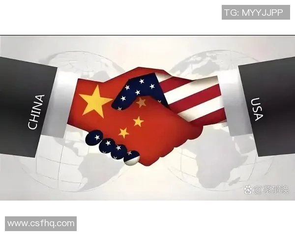 2008年美国与中国在CCTV的对比分析与影响探讨