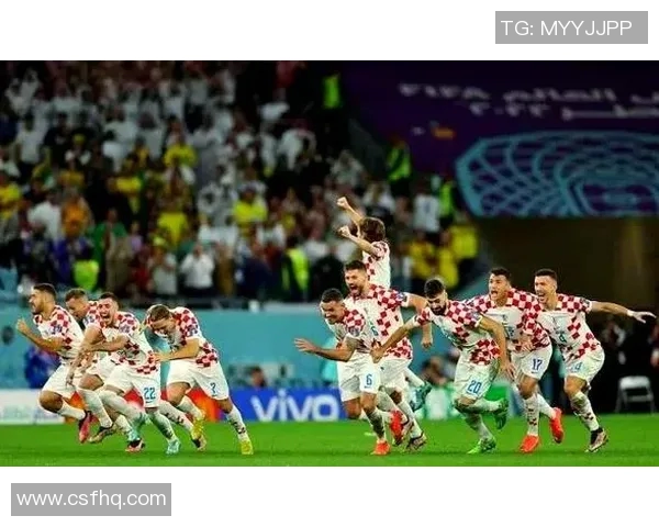 2003年荷兰与阿根廷精彩对决回顾及比赛分析