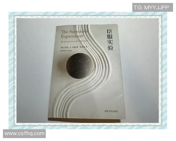 国民波托与勇者的对决:勇气与智慧的终极较量 国民波托与勇者的对决:勇气与智慧的终极较量