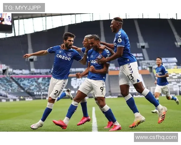 维拉与埃弗顿实力对比分析谁能在英超赛场更胜一筹