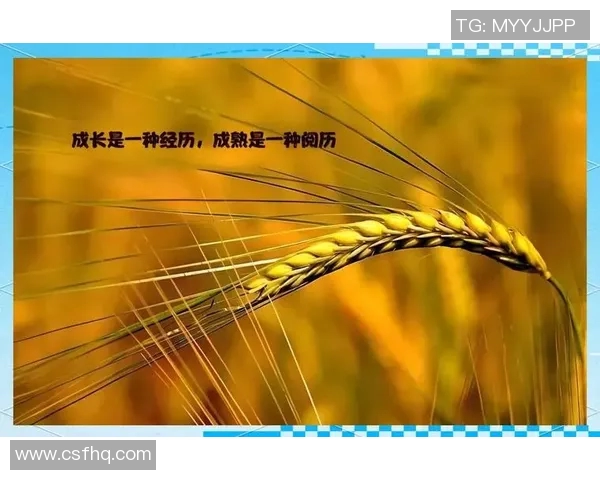 景菡一的成长旅程与心灵探索：从平凡到卓越的蜕变之路