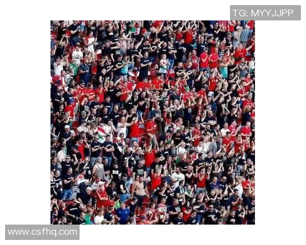 奥地利与匈牙利激战在即开球时刻引发球迷热情期待